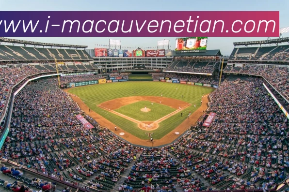 App Interface Preview