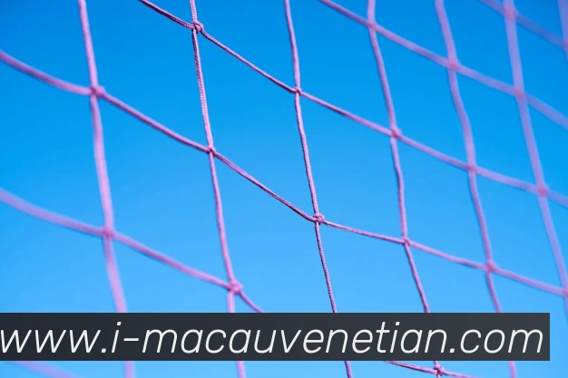 威尼斯人官网APP 封面图